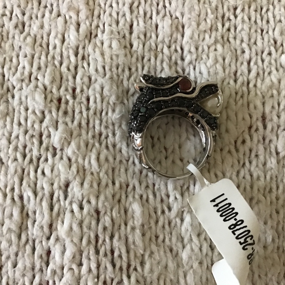 Ring Dragon